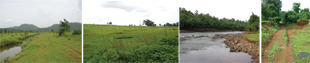 site views